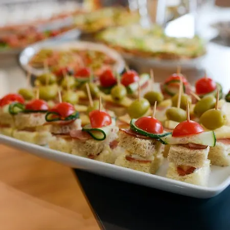 酒店 内维斯基加尔尼酒店